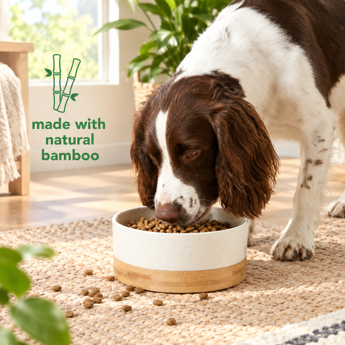 Speckled Pet Bowl & Scoop Set